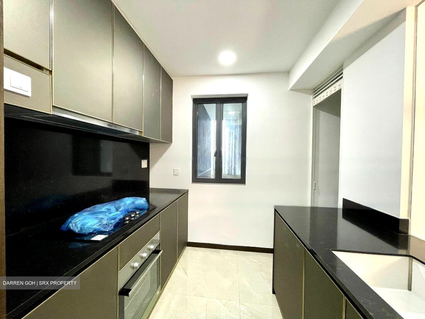 Normanton Park (D5), Apartment #460392811